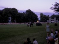 Basingstoke Carnival Horse 2